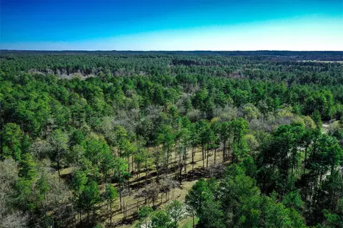 97 Utley Rd, Huntsville, TX 77320
