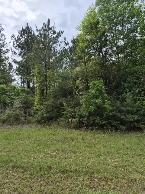003 E Tbd Schwab Rd Sh 146 Rd, Livingston, TX 77351