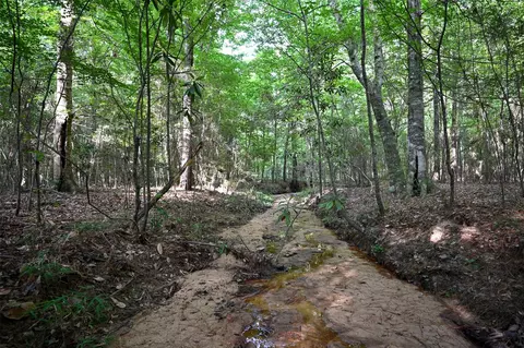 tbd County Rd 2150, Woodville, TX 75979