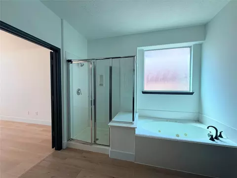 Bath - 22110 Bridgestone Pine Ct, Spring, TX 77388 photo 2 of 2