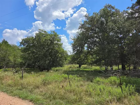 tbd Lot A Blue Bird Ln, Columbus, TX 78934