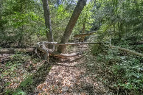 Other - tbd Cedar Hill Rd, Brenham, TX 77833 photo 8 of 24