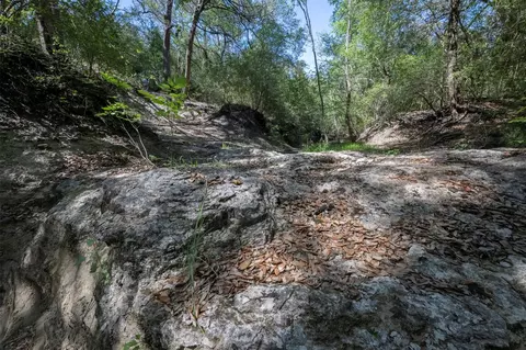 Other - tbd Cedar Hill Rd, Brenham, TX 77833 photo 19 of 24
