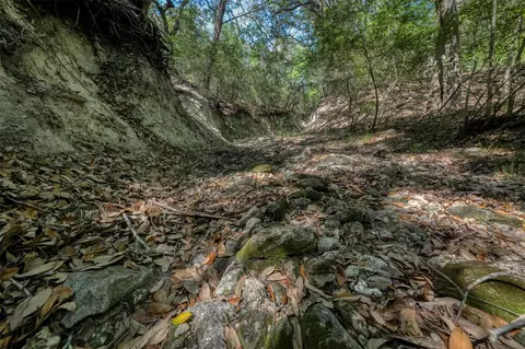 Other - tbd Cedar Hill Rd, Brenham, TX 77833 photo 5 of 24