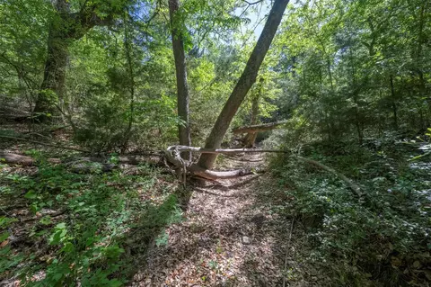 Other - tbd Cedar Hill Rd, Brenham, TX 77833 photo 6 of 24