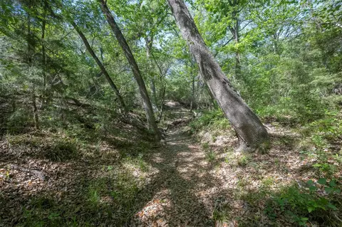 Other - tbd Cedar Hill Rd, Brenham, TX 77833 photo 7 of 24