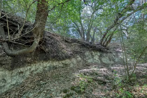 Other - tbd Cedar Hill Rd, Brenham, TX 77833 photo 4 of 24