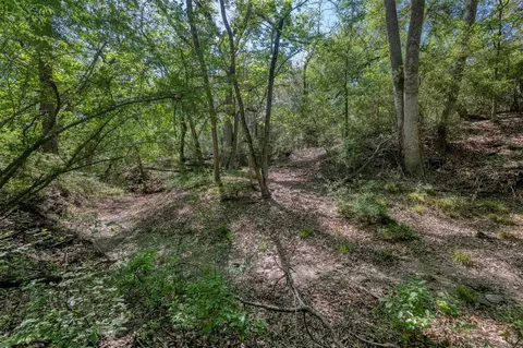 Other - tbd Cedar Hill Rd, Brenham, TX 77833 photo 23 of 24
