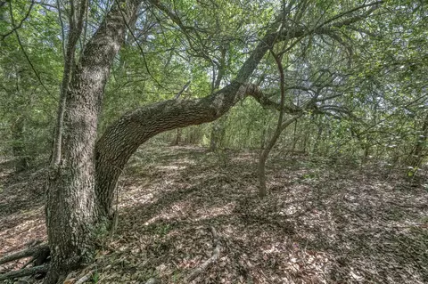 Other - tbd Cedar Hill Rd, Brenham, TX 77833 photo 9 of 24