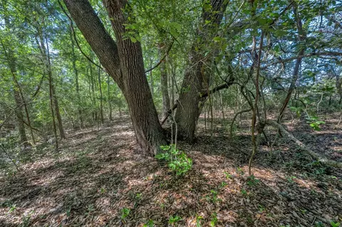 Exterior - tbd Cedar Hill Rd, Brenham, TX 77833 photo 1 of 2