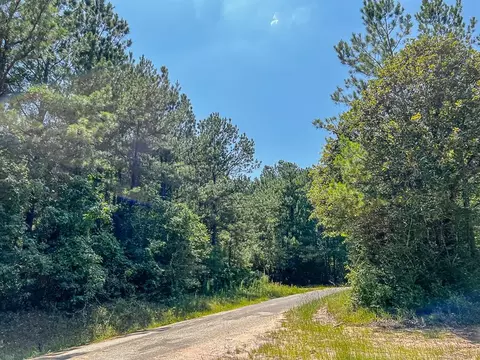 0000 Cr 366cr 368, Zavalla, TX 75980