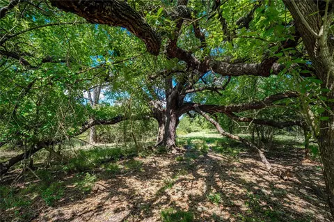 Other - tbd Cr 253, Weimar, TX 78962 photo 4 of 13