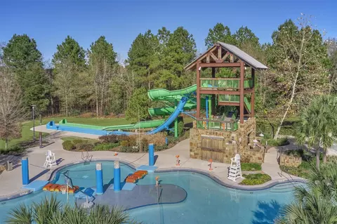 118 Forest Elk Pl, Montgomery, TX 77316