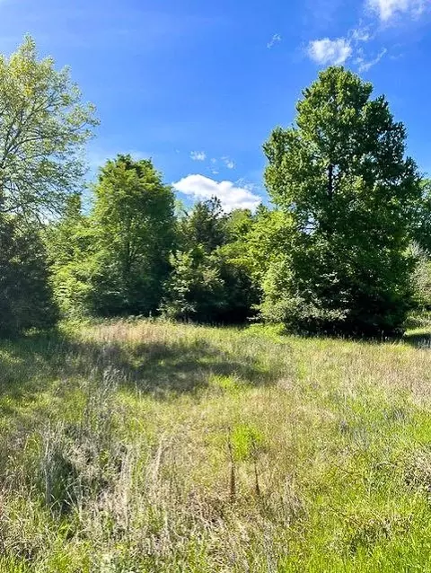 8763 Fm 356, Trinity, TX 75862 photo 7