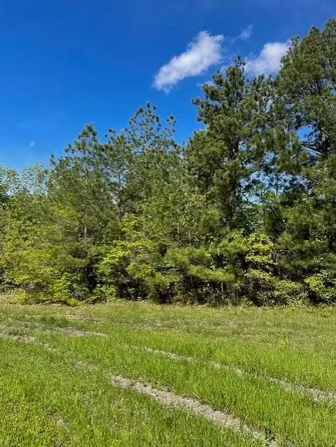 8763 Fm 356, Trinity, TX 75862 photo 3