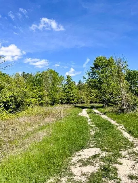 8763 Fm 356, Trinity, TX 75862 photo 6