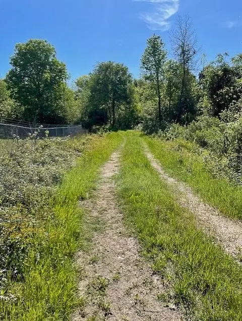 8763 Fm 356, Trinity, TX 75862 photo 8