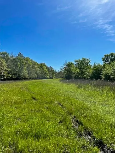 8763 Fm 356, Trinity, TX 75862 photo 5