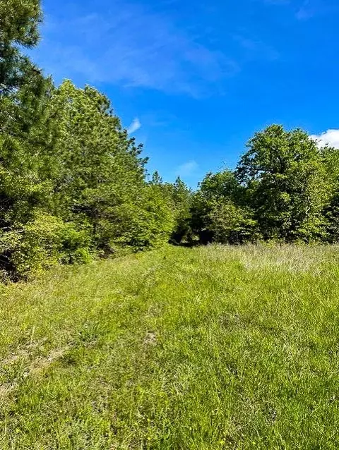 8763 Fm 356, Trinity, TX 75862 photo 4