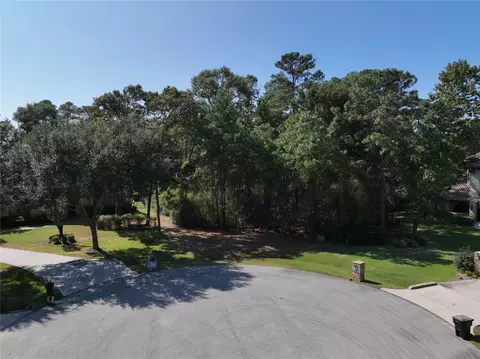 4242 Starling Stream Dr, Spring, TX 77386 photo 3