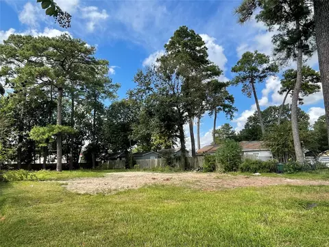 1321 Caywood Ln, Houston, TX 77055