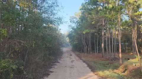 lot7 Sweetleaf Ln, Plantersville, TX 77363