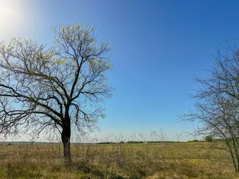 10 Hamilton, Hamilton, TX 76531 photo 5