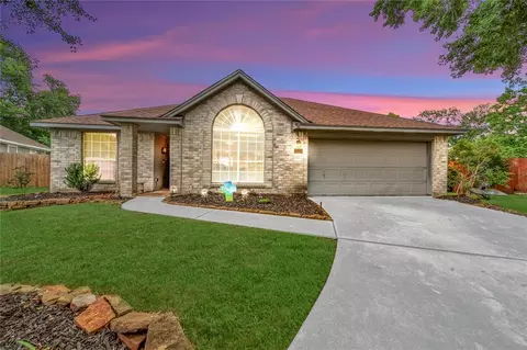 3123 Cassowary Ct, Spring, TX 77373 photo 1