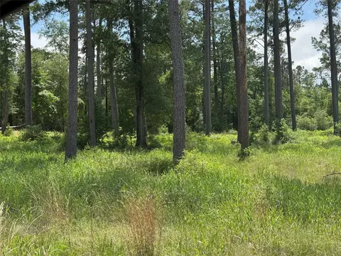 009 Private Road 6028 Tract 1-9, Brookeland, TX 75931