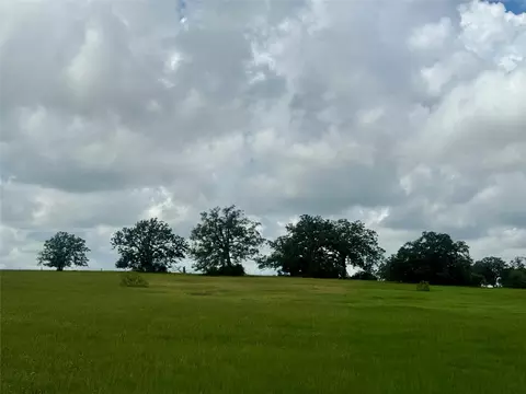 1390 Connor Lndg, Madisonville, TX 77864