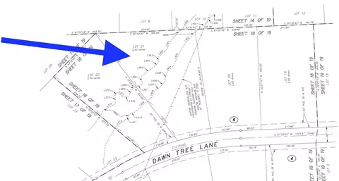11631 Dawn Tree Ln, Willis, TX 77378 photo 7