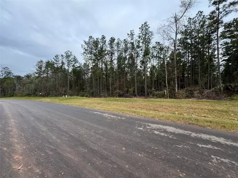 11631 Dawn Tree Ln, Willis, TX 77378 photo 9
