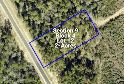 16072 Ridge Oak Rd, Willis, TX 77378