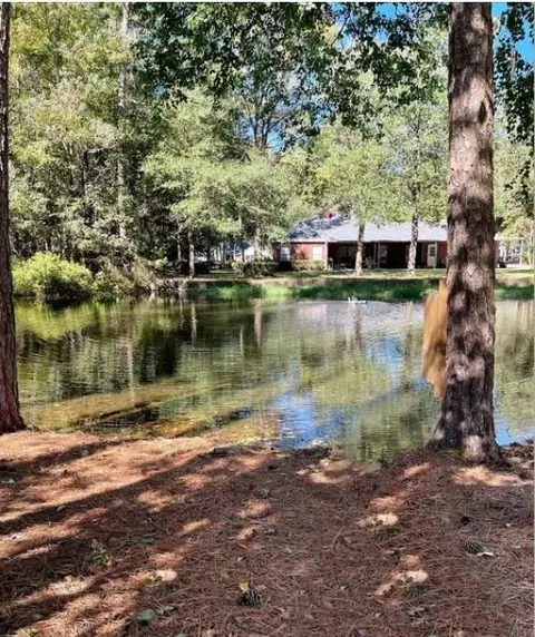 41 Artesian Way, Roman Forest, TX 77357 photo 8