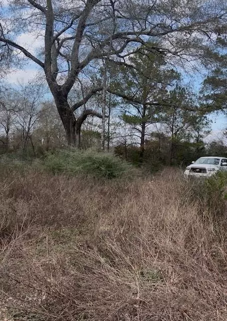 46833 Old Houston Hwy, Pine Island, TX 77445