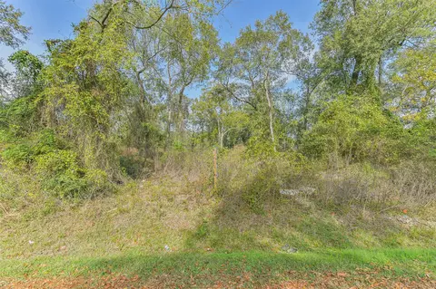 0 Adkins St, Conroe, TX 77301 photo 6