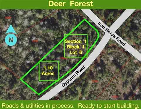 127 Gypsum Rd, New Waverly, TX 77358