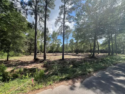 tbd Lot 3 Deerwood Dr, Plantersville, TX 77363