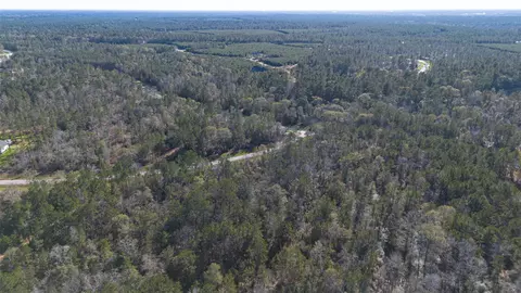 11623 Dawn Tree Ln, Willis, TX 77378 photo 17