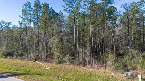 11623 Dawn Tree Ln, Willis, TX 77378 photo 2