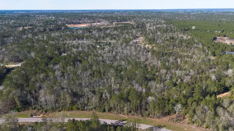 11623 Dawn Tree Ln, Willis, TX 77378 photo 6