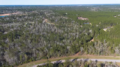 11623 Dawn Tree Ln, Willis, TX 77378 photo 7