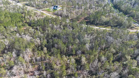 11623 Dawn Tree Ln, Willis, TX 77378 photo 18