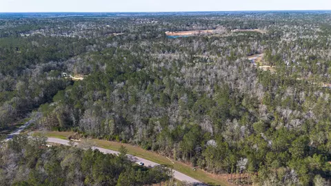 11623 Dawn Tree Ln, Willis, TX 77378 photo 4
