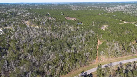 11623 Dawn Tree Ln, Willis, TX 77378 photo 9