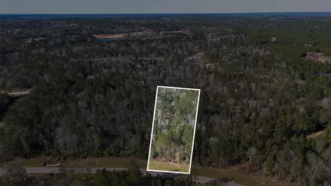 11623 Dawn Tree Ln, Willis, TX 77378 photo 5