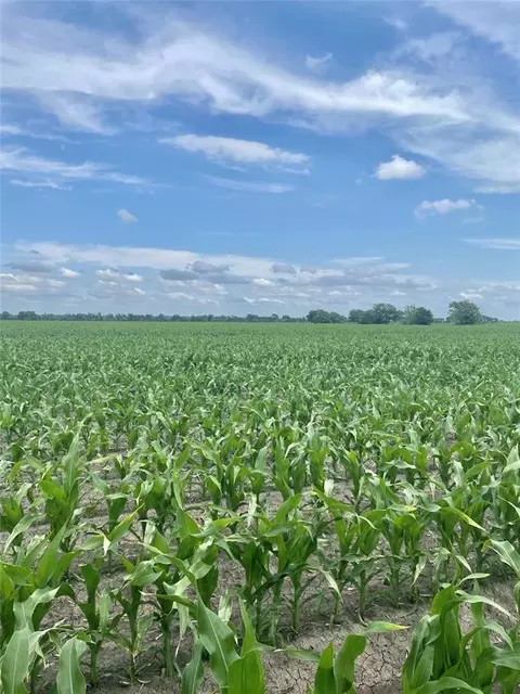 5604 Fm 2431 W, Bay City, TX 77456