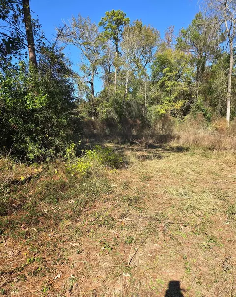 10287 Wanda Ln, Montgomery, TX 77316