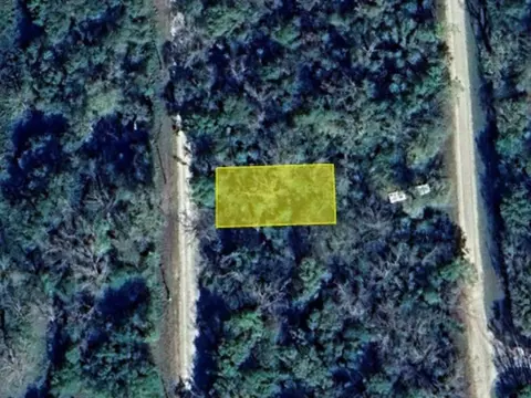 0 Wynne Rd, Trinity, TX 75862