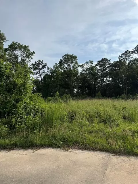 tbd Pine Bnd, Cleveland, TX 77327